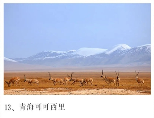 青海可可西里