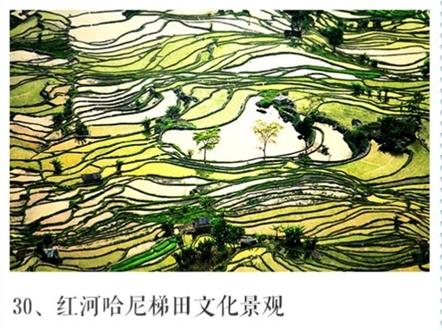 红河哈尼梯田
