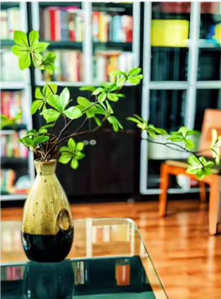 b409c1998cb2e74541c42552f64a7fab